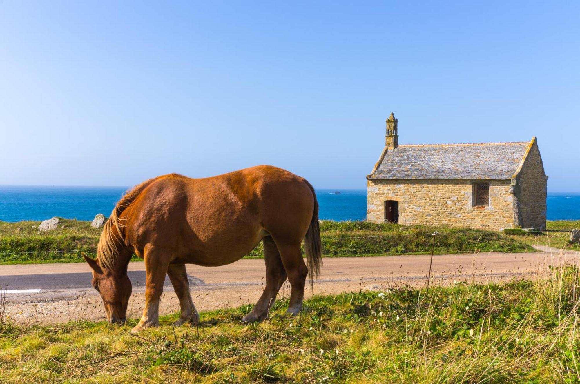 Ty Mor Bras - Maison Familiale A 2 Pas De La Plage Portsall Luaran gambar